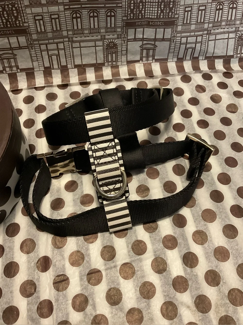 EUC Henri Bendel Pet Set - Collar, Harness and Leash
